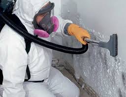 Best HVAC Mold Inspection and Cleaning  in Sarasota, FL